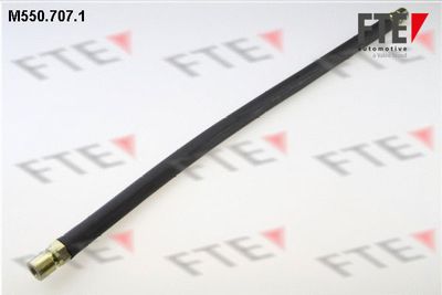 Тормозной шланг FTE 9741115
