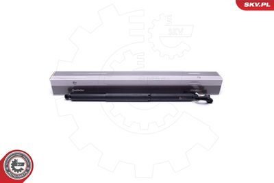 Elektromotors, Bagāžas nod. vāks ESEN SKV 52SKV901