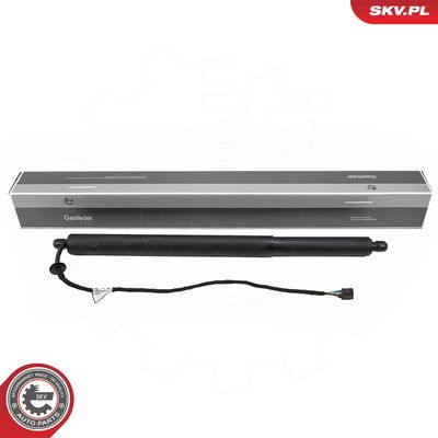 Электромотор, задняя дверь ESEN SKV 52SKV281