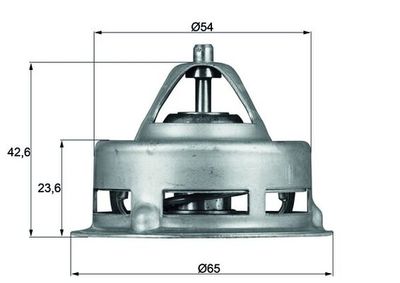 Termostats, Dzesēšanas šķidrums MAHLE TX 2 75