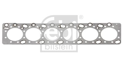 Blīve, Motora bloka galva FEBI BILSTEIN 101093
