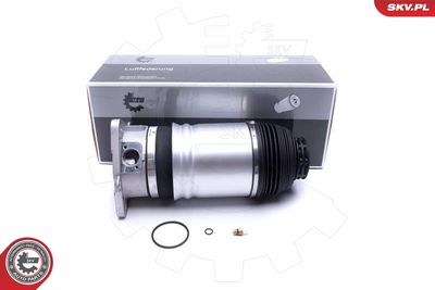 Опора пневматической рессоры ESEN SKV 58SKV067