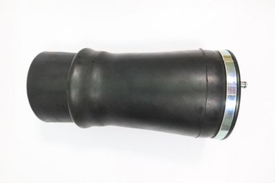 Pneimoatspere, Balstiekārta MONROE ASP013