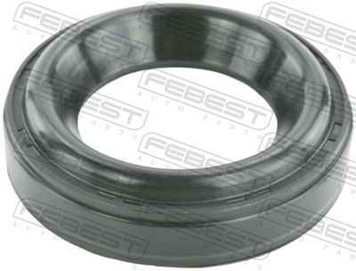  FEBEST HCP-006