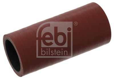 Radiatora cauruļvads FEBI BILSTEIN 49025