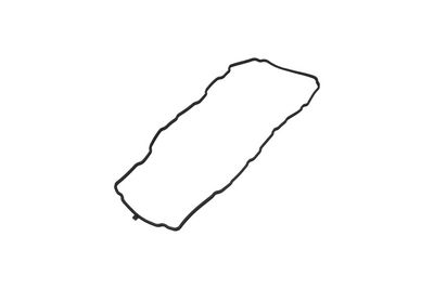 Blīve, Motora bloka galvas vāks KAMOKA 8703226