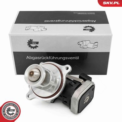 Клапан возврата ОГ ESEN SKV 14SKV272