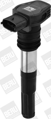 Aizdedzes spole BorgWarner (BERU) ZSE127