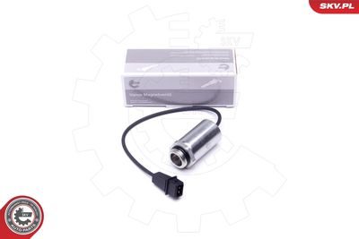 Регулирующий клапан, выставление распределительного вала ESEN SKV 39SKV048