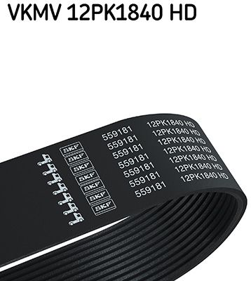 Ķīļrievu siksna SKF VKMV 12PK1840 HD