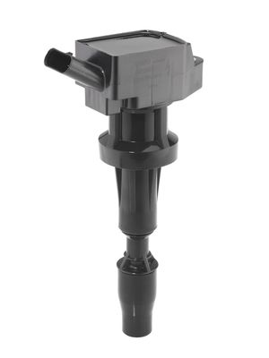 Катушка зажигания BorgWarner (BERU) ZSE262