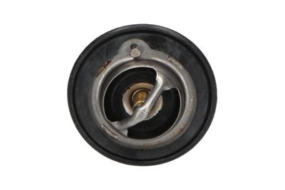 Termostats, Dzesēšanas šķidrums KAVO PARTS TH-2010