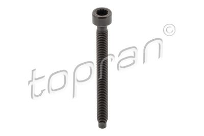 Болт, крепление форсунки TOPRAN 121 814