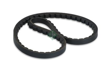 Schaeffler INA FB10X666 Ķīļsiksna
