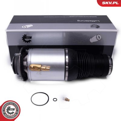 Pneimoatspere, Balstiekārta ESEN SKV 58SKV077