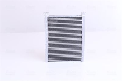 Siltummainis, Salona apsilde NISSENS 707198