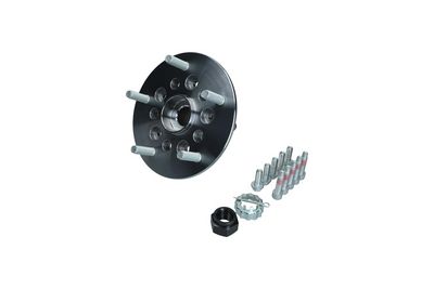 Комплект подшипника ступицы колеса KAMOKA 5500256