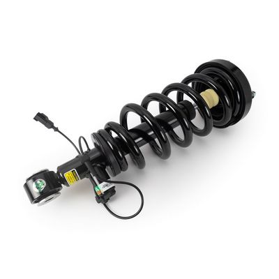 Amortizators Arnott SK-4209