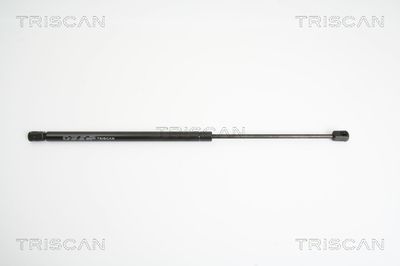 Gāzes atspere, Bagāžas/Kravas nodalījuma vāks TRISCAN 8710 11225