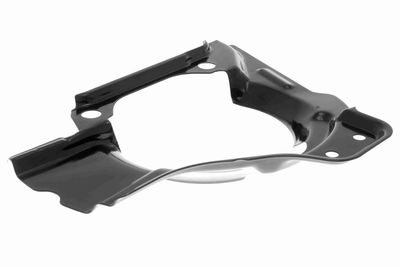 Dubļu sargs, Bremžu disks VAICO V24-0938