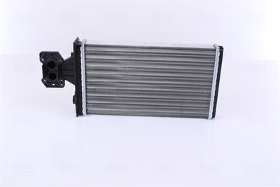 Siltummainis, Salona apsilde NISSENS 71803