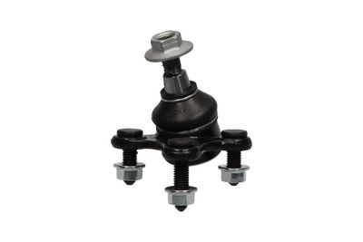 Шарнир независимой подвески / поворотного рычага KAVO PARTS SBJ-10008