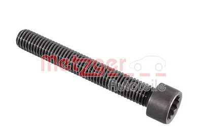 Винт, ось коромысла METZGER 2411066