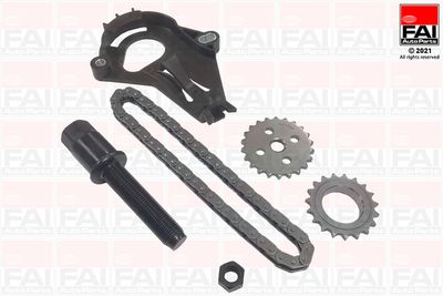 Цепь, привод маслонасоса FAI AUTOPARTS OPCK21