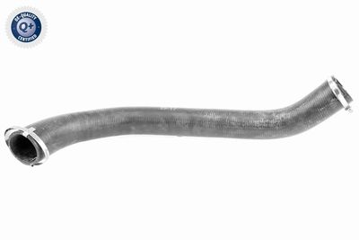 Трубка нагнетаемого воздуха VAICO V25-1055