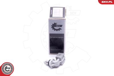 Devējs, Ieplūstošā gaisa temperatūra ESEN SKV 17SKV693