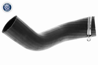 Pūtes sistēmas gaisa caurule VAICO V25-1161