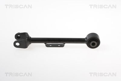 Õõtshoob, käändmik TRISCAN 850 040 581