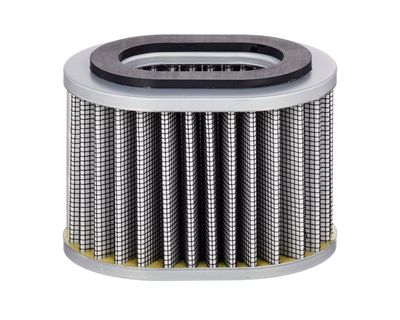 Gaisa filtrs, Kompresors-Ieplūstošais gaiss MANN-FILTER C 11 040