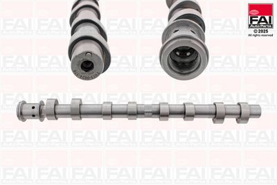 Sadales vārpsta FAI AutoParts C576