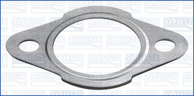 Blīve, EGR vārsta cauruļvads AJUSA 01788700