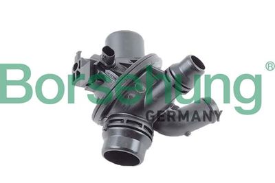 termostat Borsehung B10561