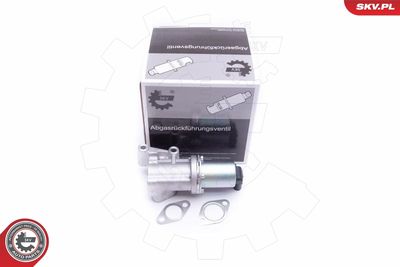 Клапан возврата ОГ ESEN SKV 14SKV211