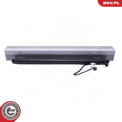 Электромотор, задняя дверь ESEN SKV 52SKV964