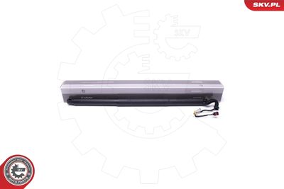 Электромотор, задняя дверь ESEN SKV 52SKV944