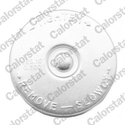 Vāciņš, Radiators CALORSTAT by Vernet RC0070