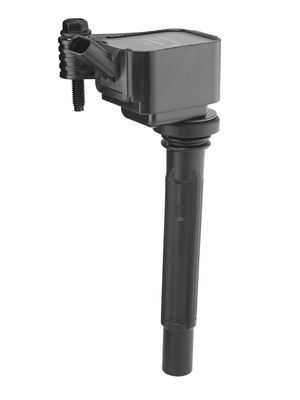 Aizdedzes spole BorgWarner (BERU) ZS617
