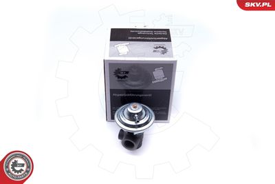 Клапан возврата ОГ ESEN SKV 14SKV187