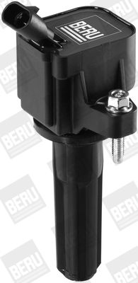 Aizdedzes spole BorgWarner (BERU) ZSE133
