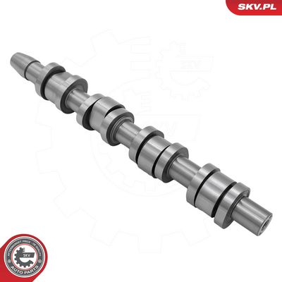 Sadales vārpsta ESEN SKV 80SKV072