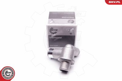Termostats, Dzesēšanas šķidrums ESEN SKV 20SKV051