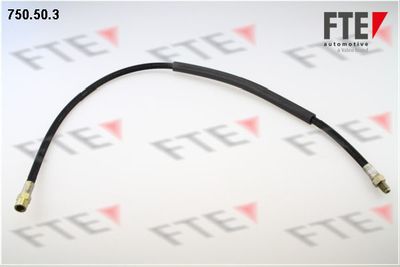 Тормозной шланг FTE 9741073