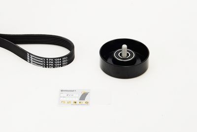  CONTINENTAL CTAM 6PK1264K2