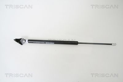 Gāzes atspere, Bagāžas/Kravas nodalījuma vāks TRISCAN 8710 50239