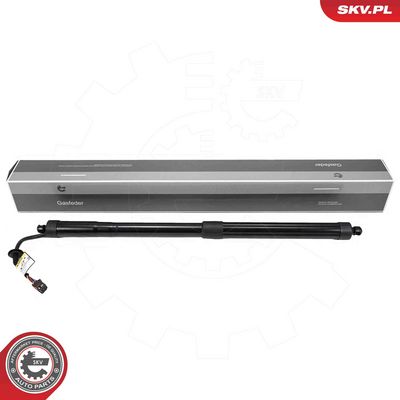 Электромотор, задняя дверь ESEN SKV 52SKV227