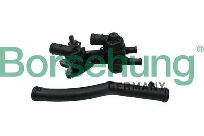 Termostats, Dzesēšanas šķidrums BORSEHUNG B19087